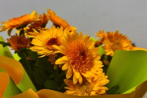19th-anniversary-chrysanthemum-flowers